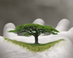 27-inspiring-hands-palm