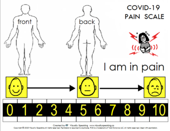 Visually Impaired Pain Scale